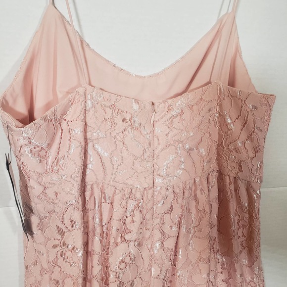 Cynthia Steffe Dress 12 Lace Rose Pink Sleeveless Party Cocktail Fit Flare NWT - Picture 8 of 9